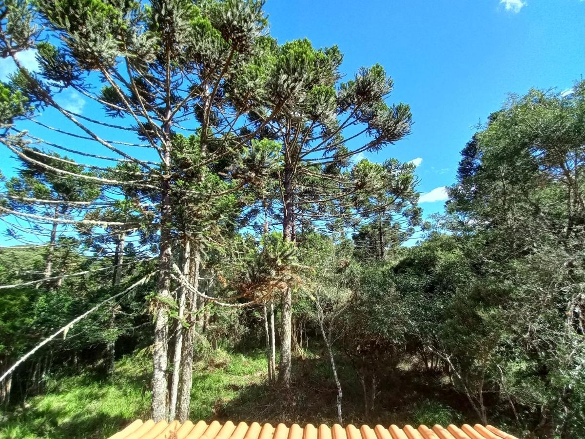 Cabana Na Floresta Rincao Do Fortaleza Cambará Dış mekan fotoğraf