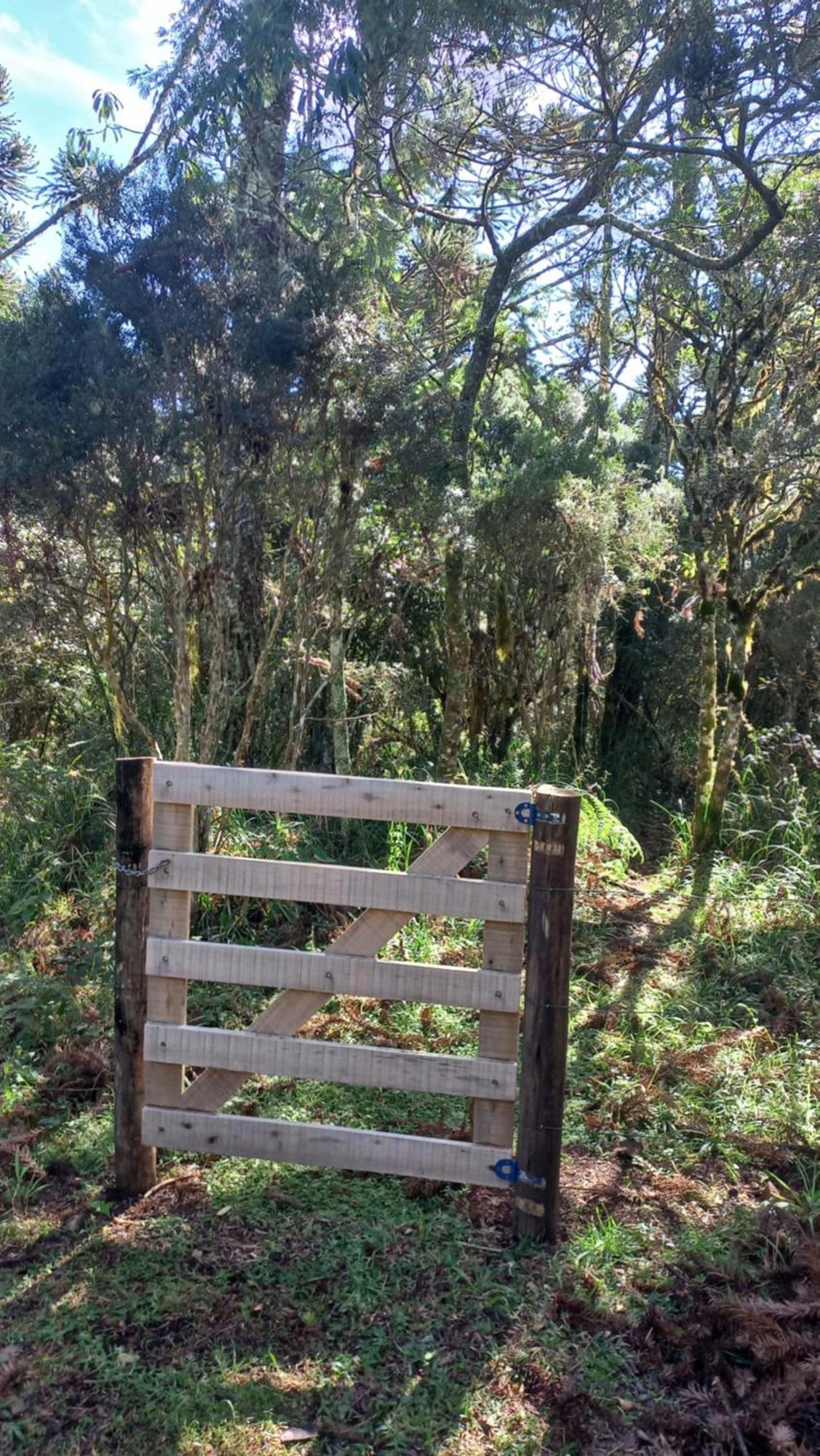 Cabana Na Floresta Rincao Do Fortaleza Cambará Dış mekan fotoğraf